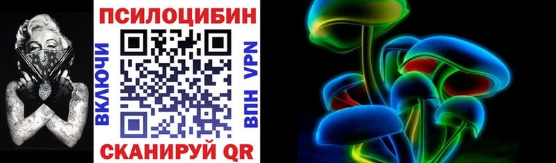 цена Сухой Лог Галлюциногенные грибы Psilocybe
